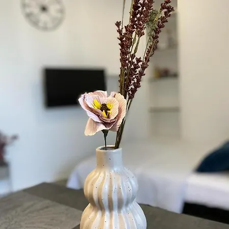 Vibes Apartamento
