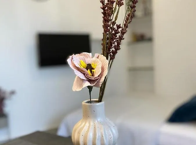 Vibes Apartman